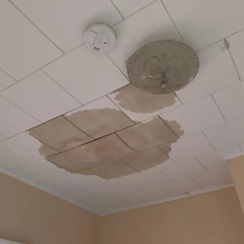 Ceiling Water Damage Repair in Terry, MS