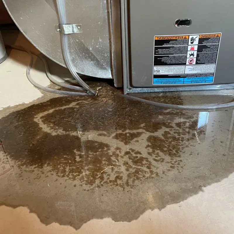 Pipe Burst and Leak Restoration in Terry, MS