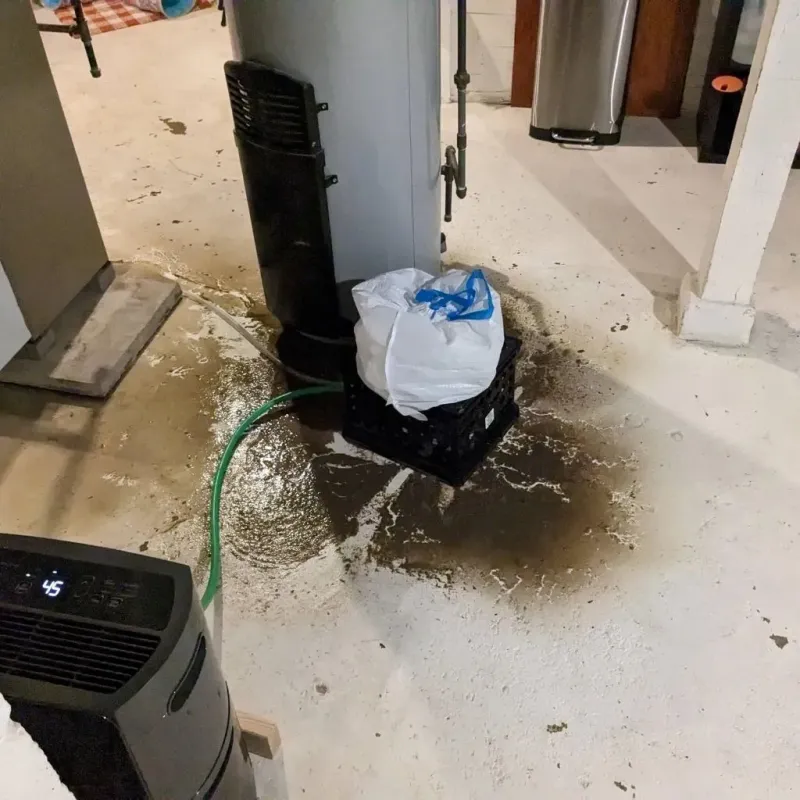 Sewage Backup Cleanup Service in Terry, MS